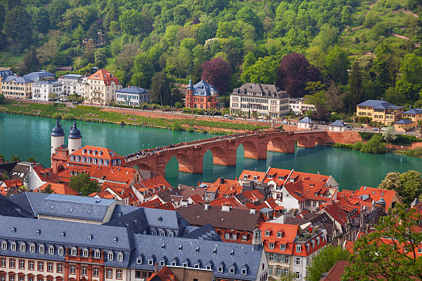 istock Beautiful panorama view of Heidelberg, Germany 491761880