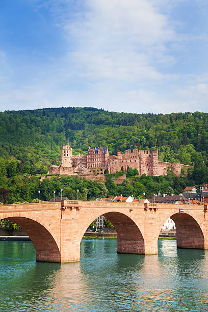 istock Alte Brucke bridge and Heidelberg castle view 491762014