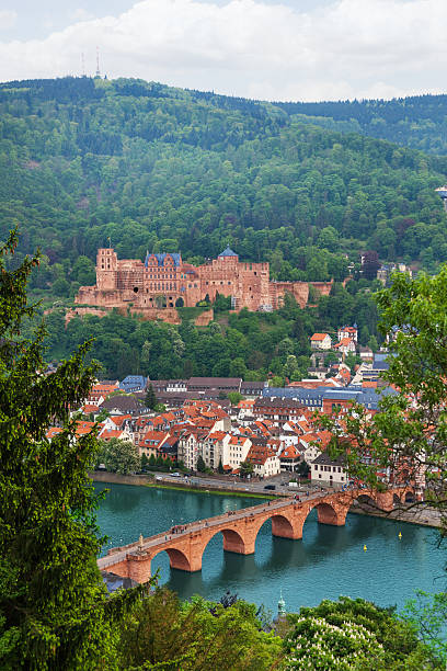 istock Alte Brucke bridge, Heidelberg through fir tree 491762078