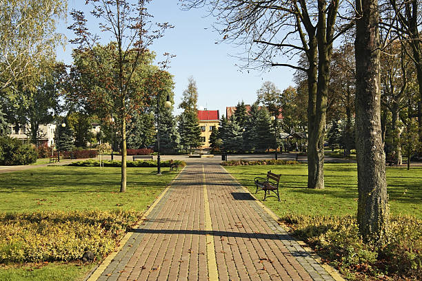 istock Park in Cieszanow. Poland 491762496