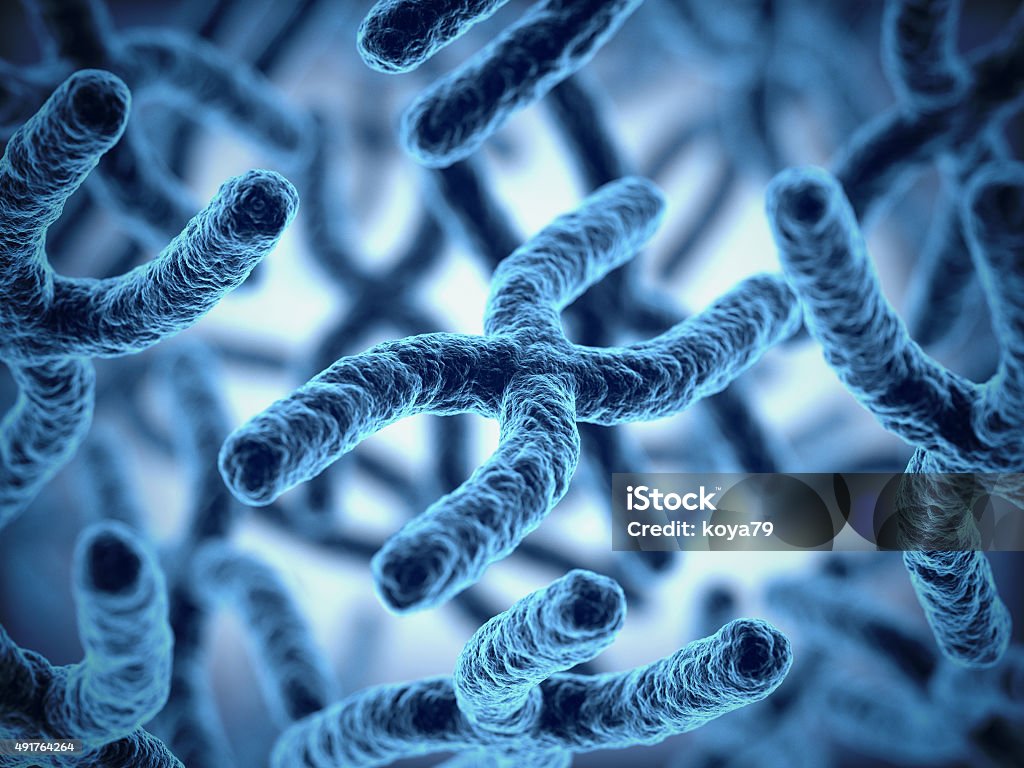 chromosomes 3d illustration 2015 Stock Photo