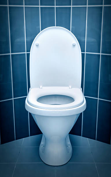 istock Toilet in the bathroom 491764368
