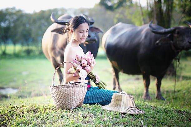 istock thai ancient young women with buffalo on rural 491764758