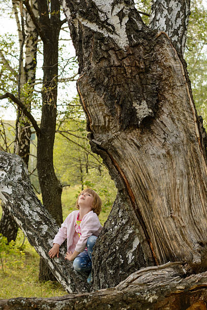 istock Girl sits on an old tree 491764988