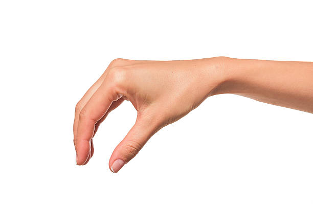 istock Beautiful woman hand  holding items 491765324