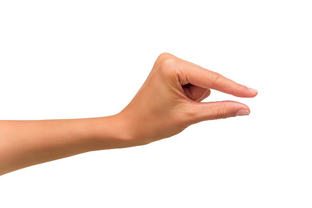 istock Beautiful woman hand holding items 491765622