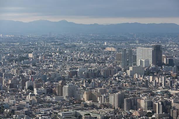 istock Tokyo Skyline in Japan 491765846