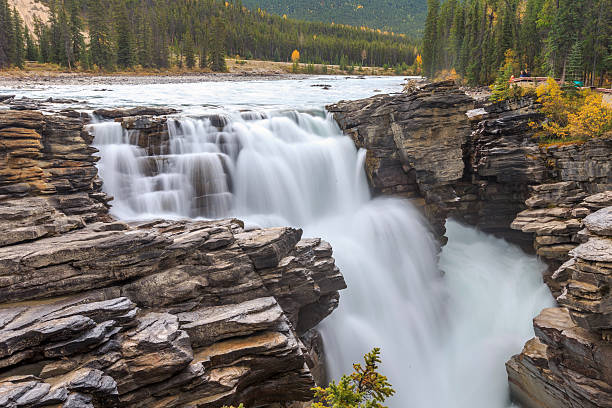 chutes de l'athabasca cascade jasper, canada - jasper alberta photos et images de collection