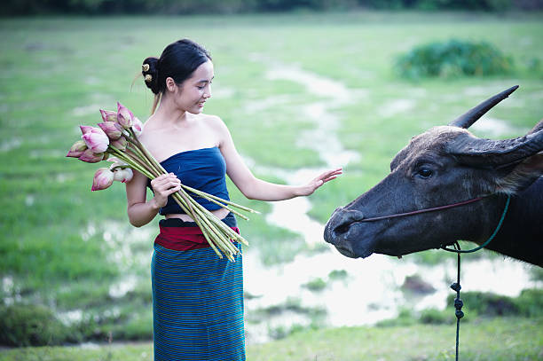 istock thai ancient young women with buffalo on rural 491766800