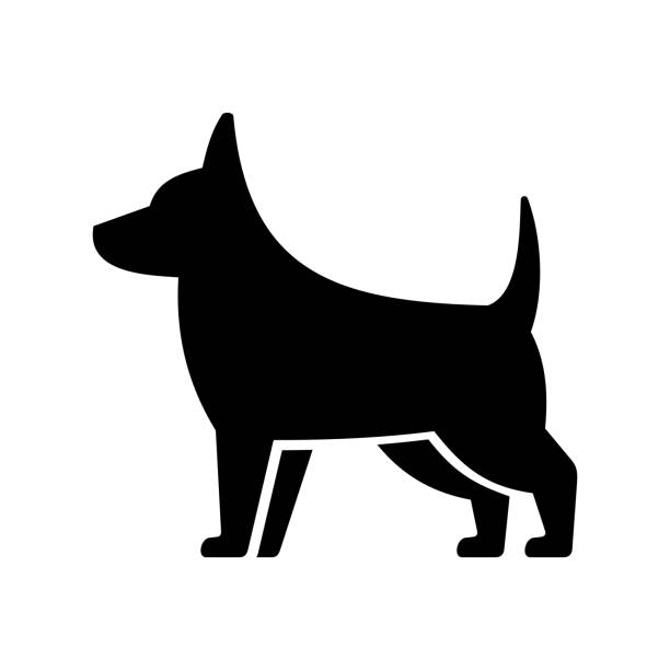 простой собака значок на белом фоне. вектор - dog mixed breed dog puppy white background stock illustrations