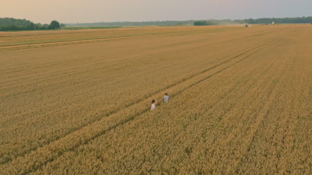 AERIAL Kids running in the field