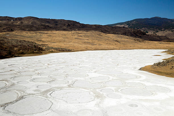 istock spotted lake osoyoos british columbia canada 491774674