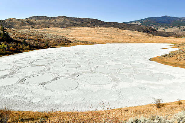 istock spotted lake osoyoos british columbia canada 491774726