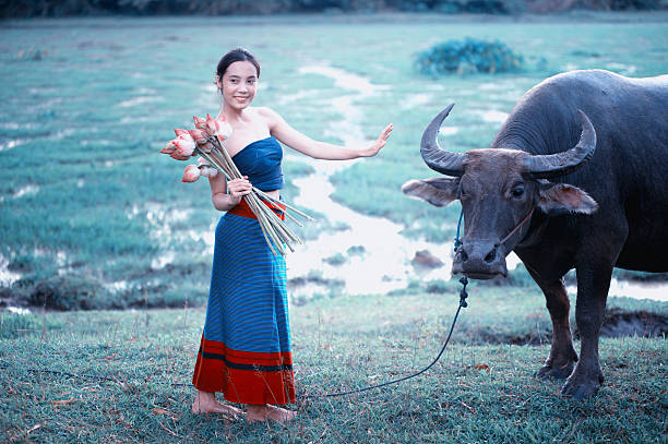 istock thai ancient young women with buffalo on rural 491775140