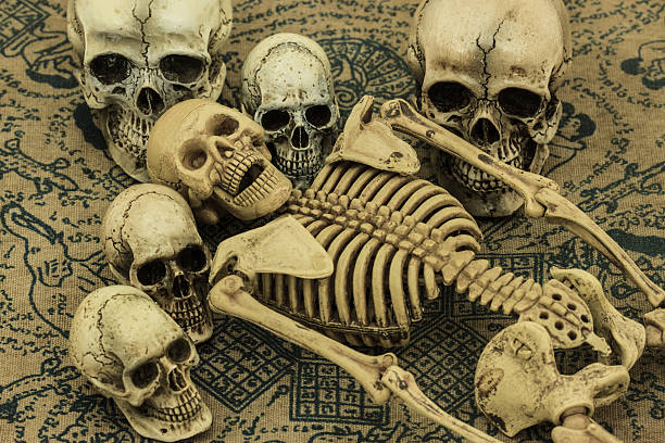 czaszka człowieka wciąż życia tle - noggin zdjęcia i obrazy z banku zdjęć
