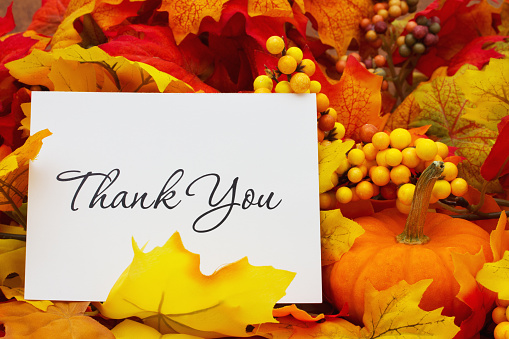 Thank You, Autumn Leaves with sky background with text Thank You