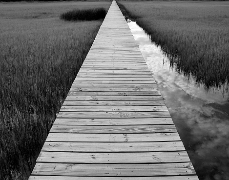Black and white image of a wooden dock extending into the distance. On either side of the dock can be seen marsh grasses and the reflections of clouds in the water.