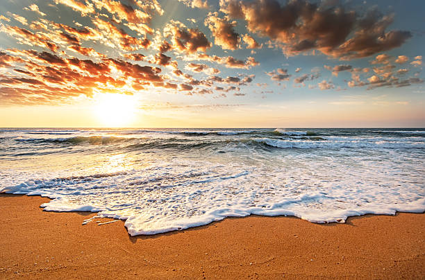 istock Brilliant ocean beach sunrise. 491778208