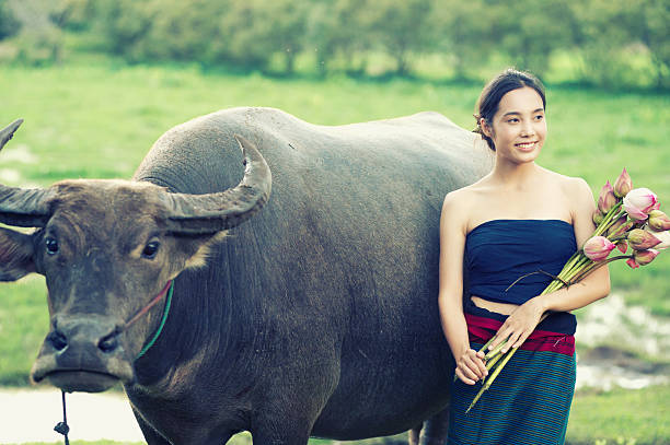 thai ancient young women with buffalo on rural