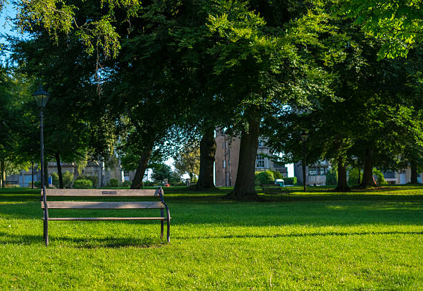 Wooden chair in the park stock photo