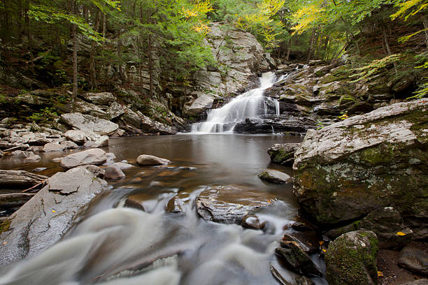 wahconah falls - massachusetts the berkshires autumn mountain zdjęcia i obrazy z banku zdjęć