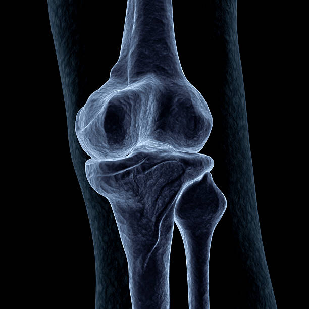 prześwietlenie ludzkie kolano-widok z tyłu - human bone forensic science medical scan morphology zdjęcia i obrazy z banku zdjęć