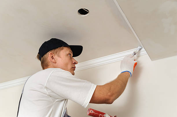 istock Painting walls and ceilings 491781160