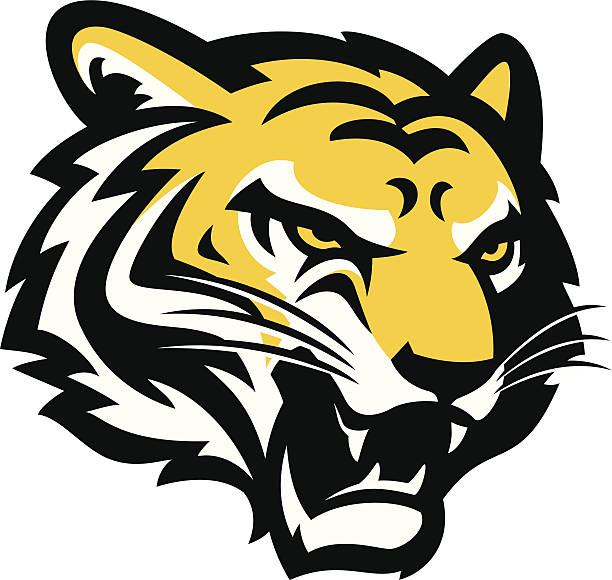 Tiger Head Stylized powerful tiger head illustration. All colors are separated in layers. Easy to edit. Black and white version (EPS10,JPEG) included. bengal tiger pattern stock illustrations