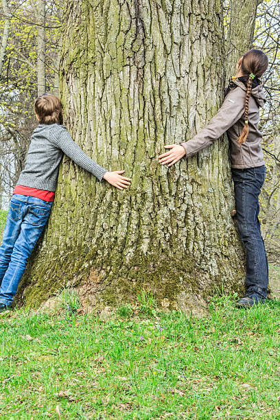istock Boy and girl in full length hugging old tree trunk 491782789
