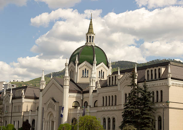 istock Academy of Fine Arts, sarajevo 491783401