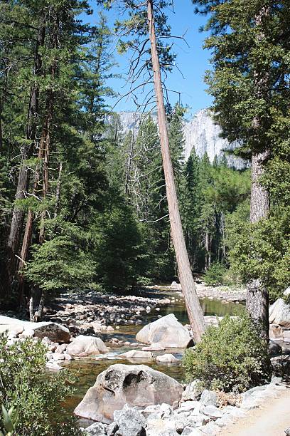 Yosemite valley stock photo