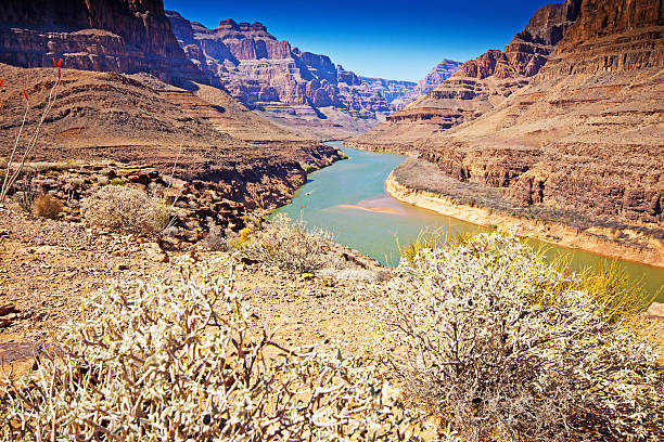 istock View down the Grand canyon towards Lake Mead 491784479