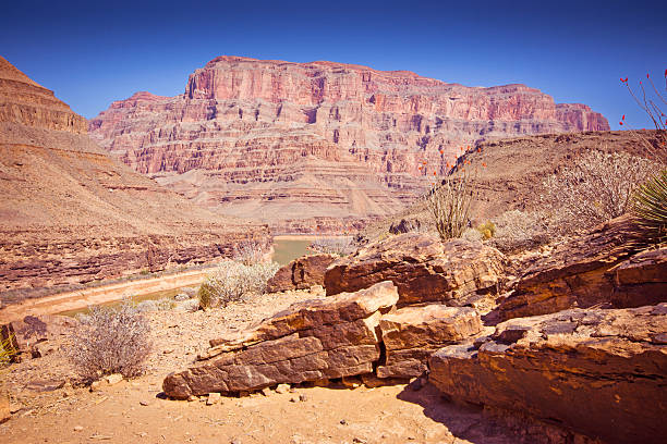 istock View down the Grand canyon towards Lake Mead 491784481
