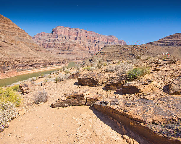 istock View down the Grand canyon towards Lake Mead 491784487