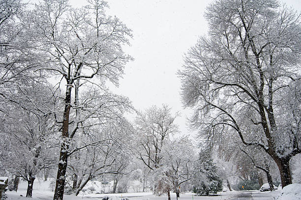 istock After winter storm, Newton, MA 491785289