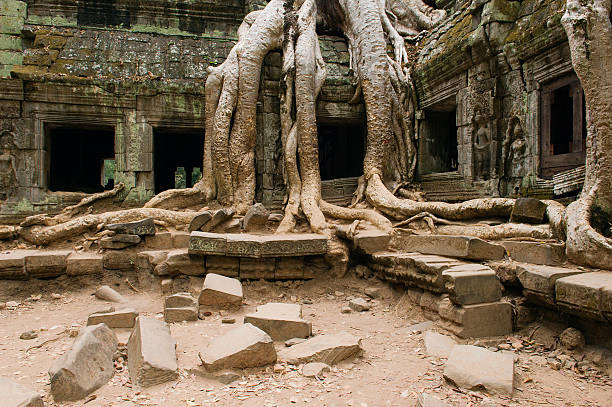 istock Ancient Temple with Tree Roots Covering Part of Structure 491785323