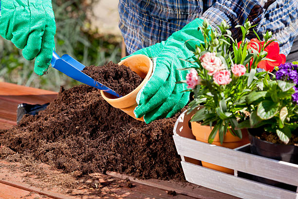 piantare fiori nel giardino di casa - shovel trowel dirt plant foto e immagini stock