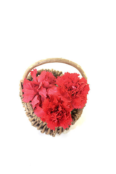 istock red carnations blossoms in a basket 491785895
