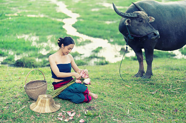 istock thai ancient young women with buffalo on rural 491786592