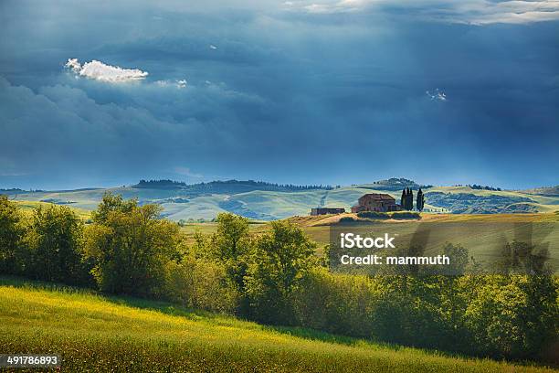 Paesaggio In Toscana - Fotografie stock e altre immagini di Agricoltura - Agricoltura, Ambientazione esterna, Ambientazione tranquilla