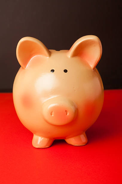 istock Piggy Bank 491786935