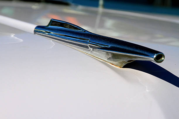 istock Classic Hood Ornament 5 491787077