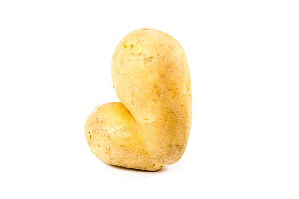istock Fresh Brown Raw Potato on white background 491787519