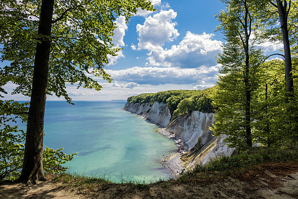 Baltic Sea On shore of the Baltic Sea. mecklenburg vorpommern stock pictures, royalty-free photos & images