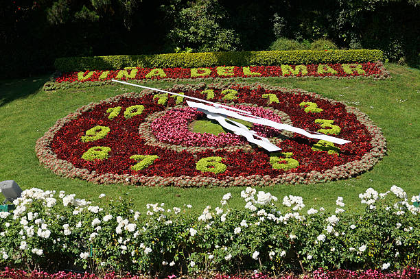 istock Flower Clock, Vina del Mar, Chile 491788744