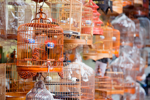This is a horizontal, color photograph of a wooden bird cage for sale at the Kowloon Bird Market in Hong Kong.