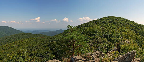 istock Bearfence Viewpoint Panorama, Shenandoah National Park 491788926