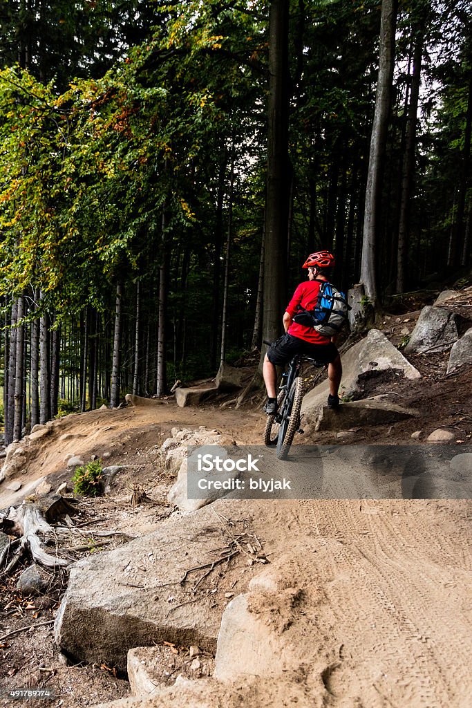 Mountain biker riding cycling in autumn forest Mountain biker riding on bike in autumn inspirational mountains landscape. Man cycling MTB on enduro trail track. Sport fitness motivation and inspiration. 2015 Stock Photo
