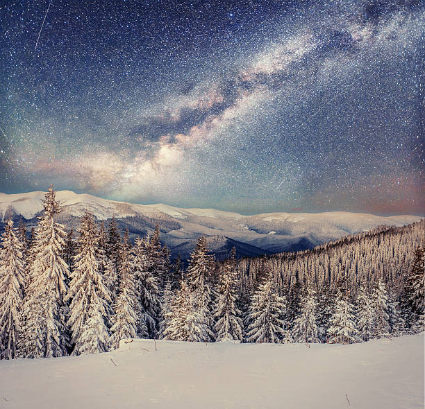 istock Dairy Star Trek in the winter woods 491789336
