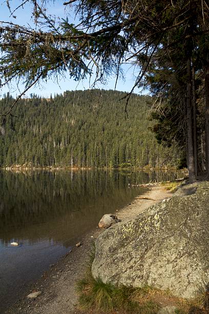 istock mountain lake in the woods 491789558